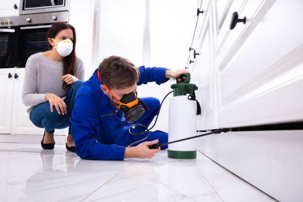 woman looking at male pest control worker spraying pesticide on wooden cabinet woman looking at male pest control worker spraying pesticide on wooden cabinet