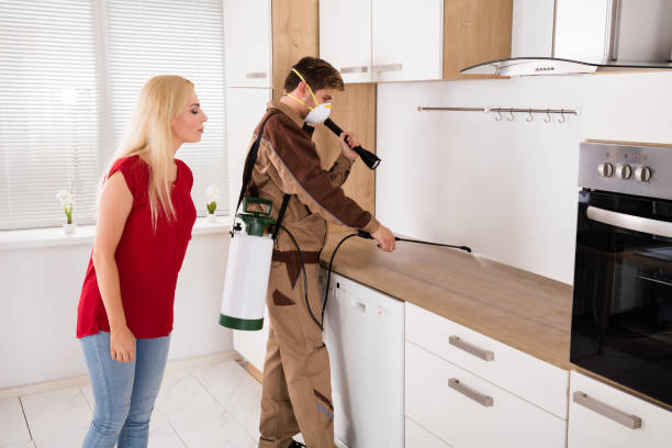 istockphoto 858780800 612x612 istockphoto 858780800 612x612